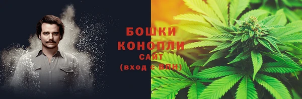 бошки Бронницы