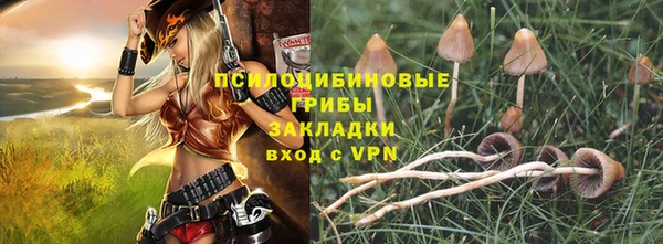 бошки Бронницы