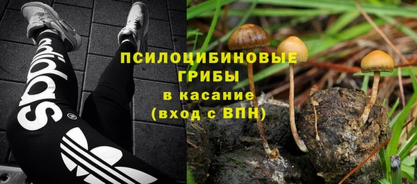 скорость Бородино