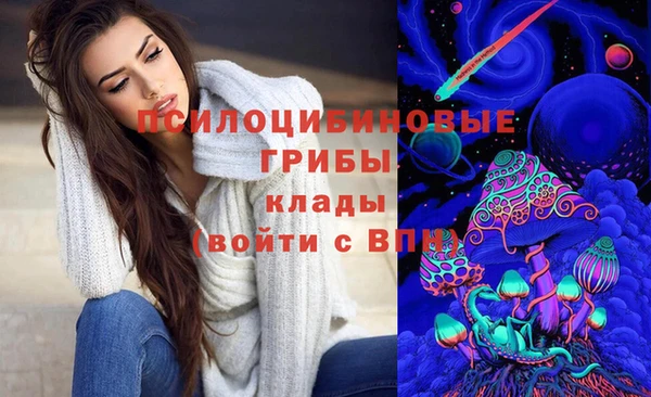 скорость Бородино