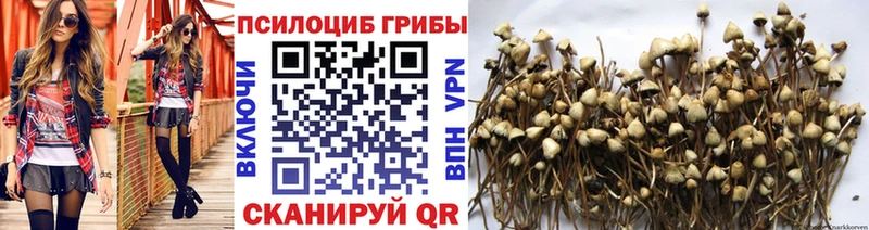 Купить  Лениногорск  Галлюциногенные грибы MAGIC MUSHROOMS 